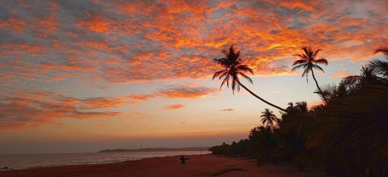 Eco Cabanas Marakolliya Tangalle Exterior foto