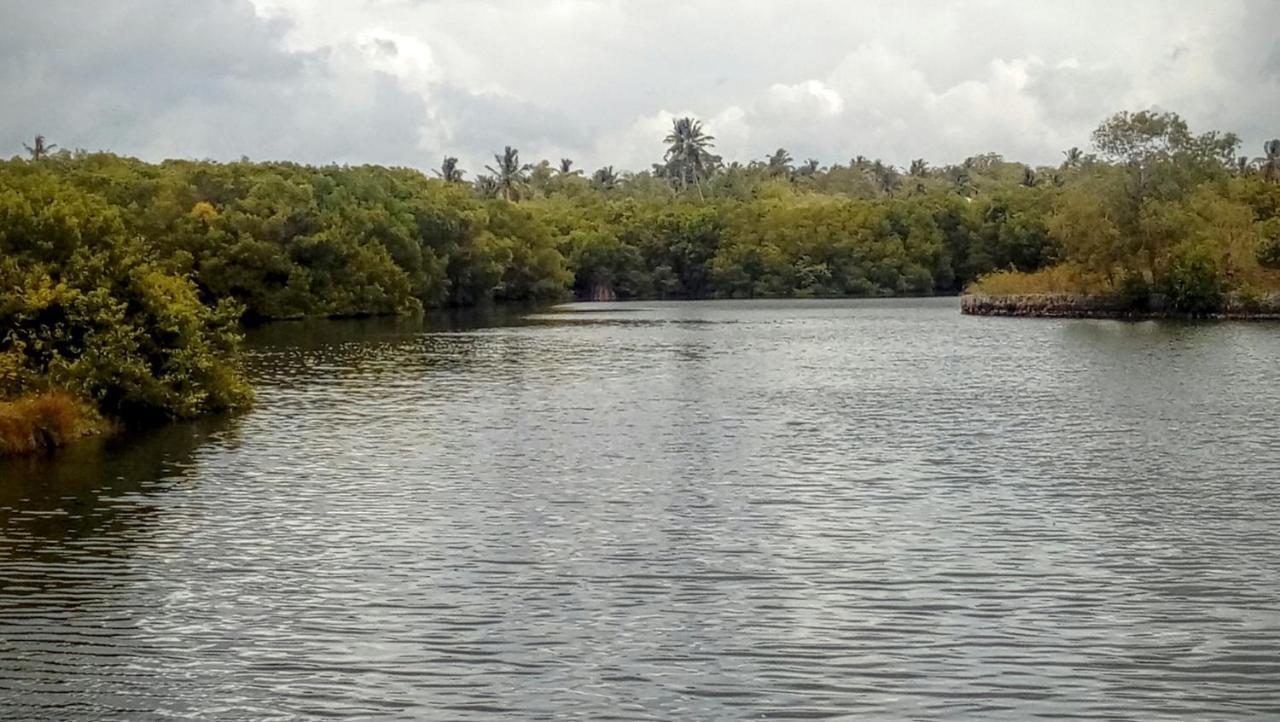 Eco Cabanas Marakolliya Tangalle Exterior foto